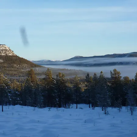 Orman Evi Tirilltoppen I Morkagrenda *