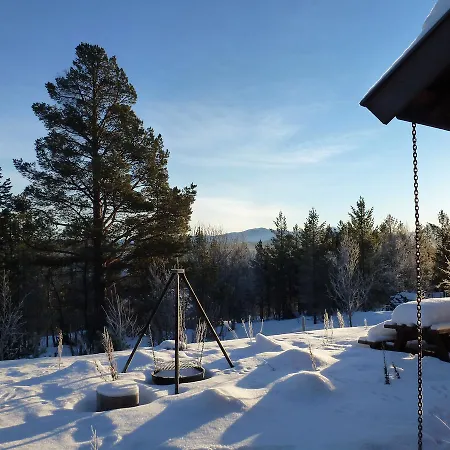 Orman Evi Tirilltoppen I Morkagrenda *