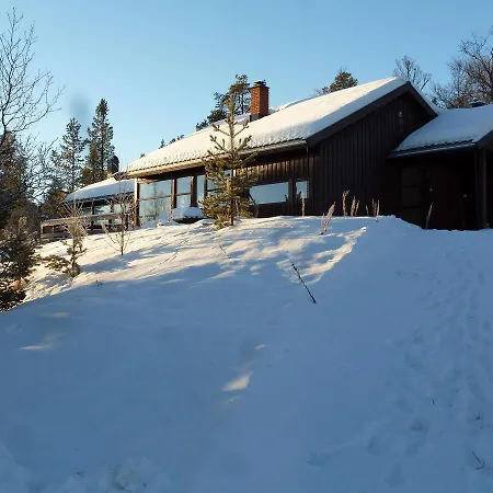 Orman Evi Tirilltoppen I Morkagrenda *
