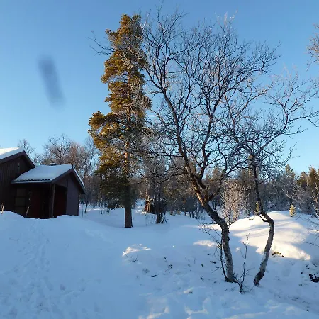 Orman Evi Tirilltoppen I Morkagrenda *